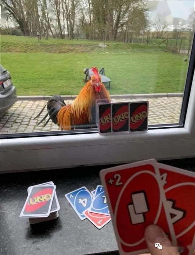 jpg骚奥瑞确实确实是个心酸的故事列文虎克昨天的你这就是人工智能吗