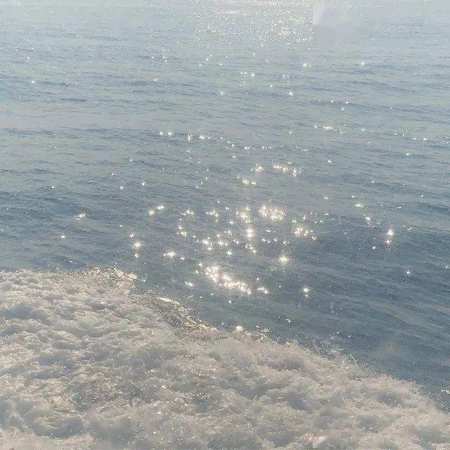 背景图丨你想要变坏吗被我宠坏的那种