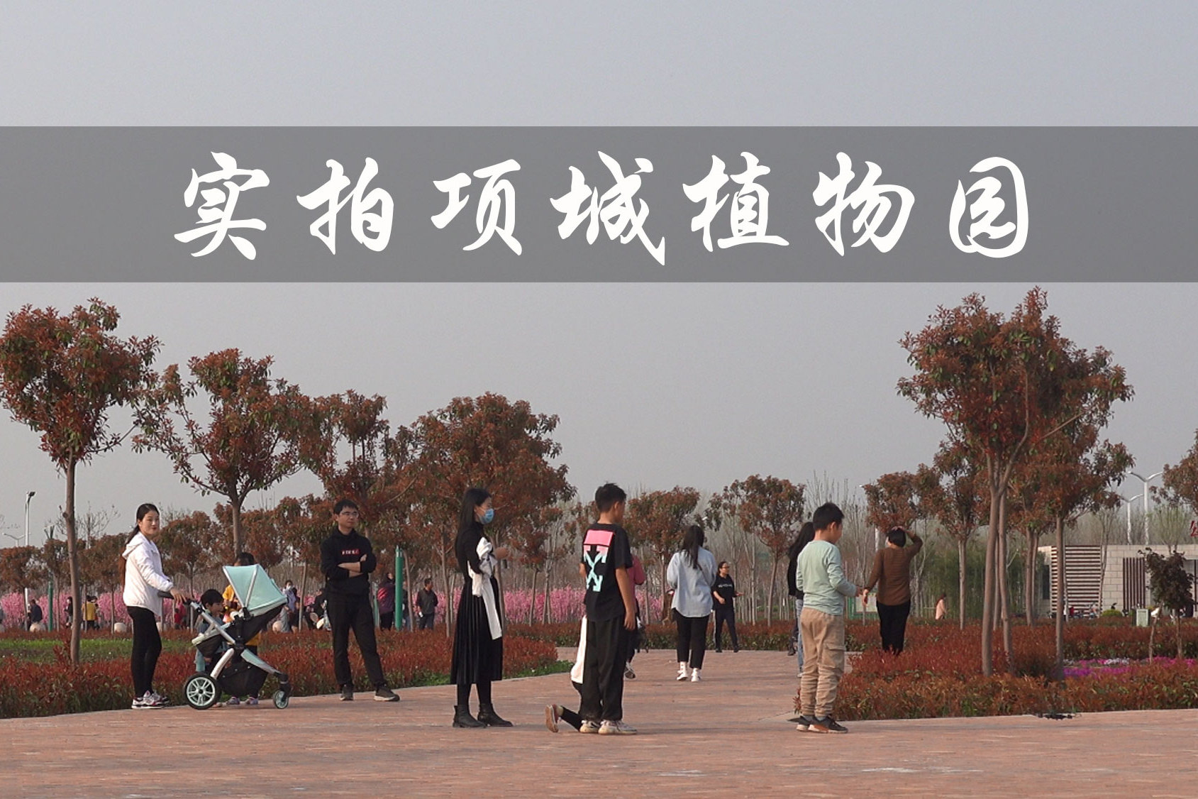 实拍项城植物园游人逐渐增多四月踏青好去处