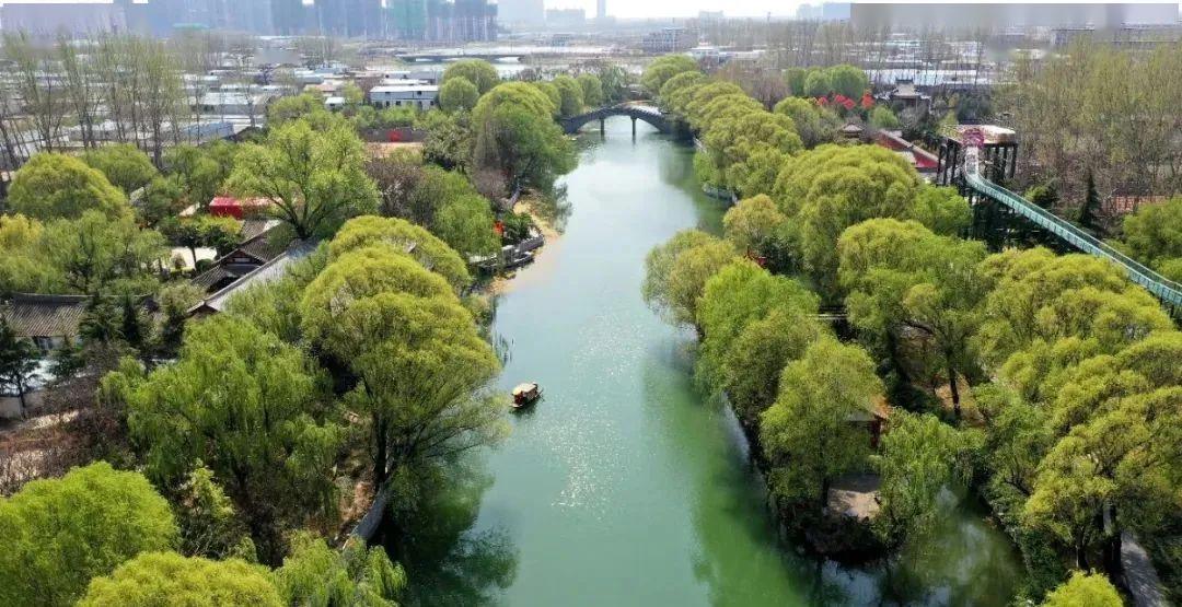 西湖公園牡丹苑的牡丹綻放,近日,航拍許昌西湖公園牡丹苑.