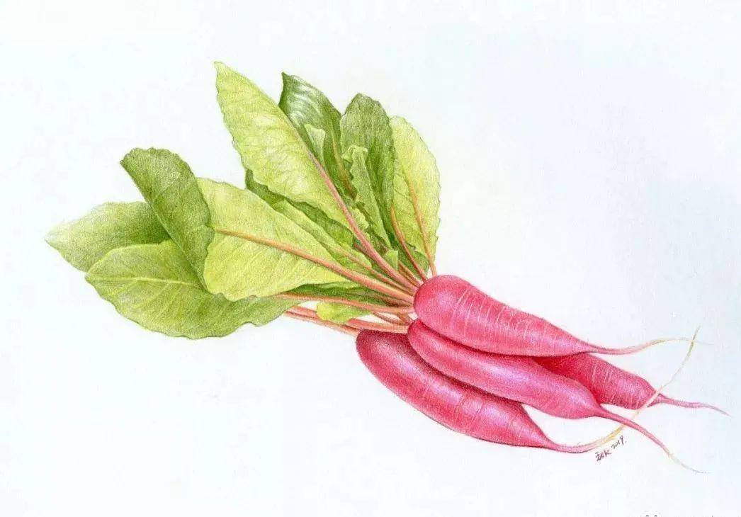 彩铅蔬菜组合详细画法步骤图