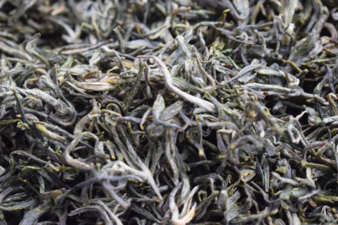 【茶艺游学】——醉美东山采茶游学记_茶叶