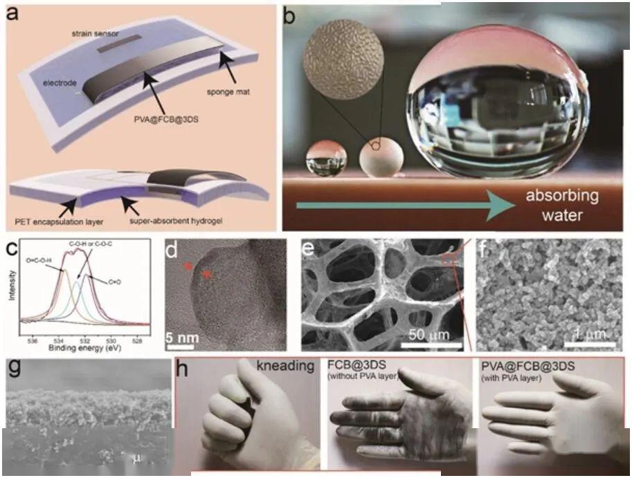 (b)超吸收性水凝胶吸水状态的典型光学照片(c)fcbs的高分辨率o1s x