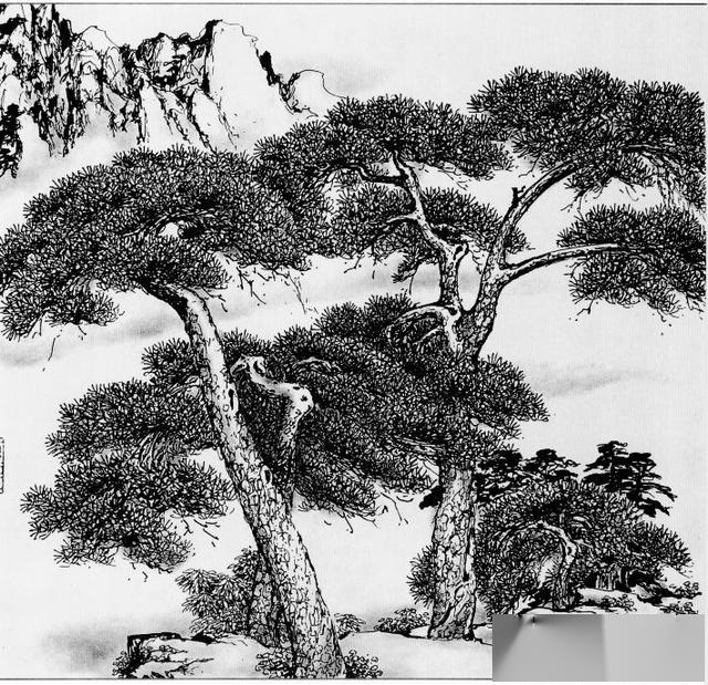 线描松树图谱选页欣赏上