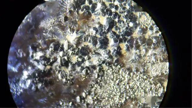 元青花近距离接触,苏麻离青特征图赏