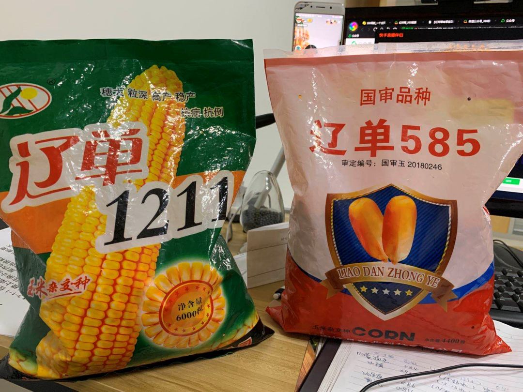 玉米株距如何计算你看看就懂啦