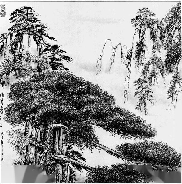 线描松树图谱选页欣赏(上)_常青松