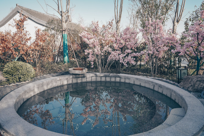 绿水瀛洲古风唐韵我们樱约而来