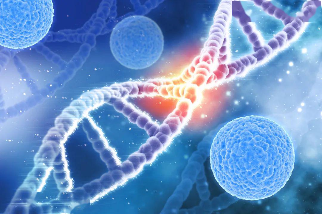 在你的基因里,到处都有病毒来过的痕迹_细胞