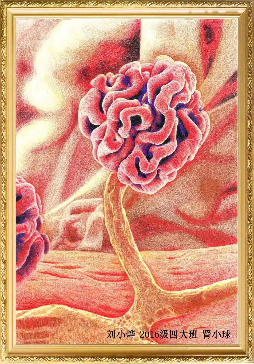 人体解剖绘图大赛——以画笔诠释生命之美