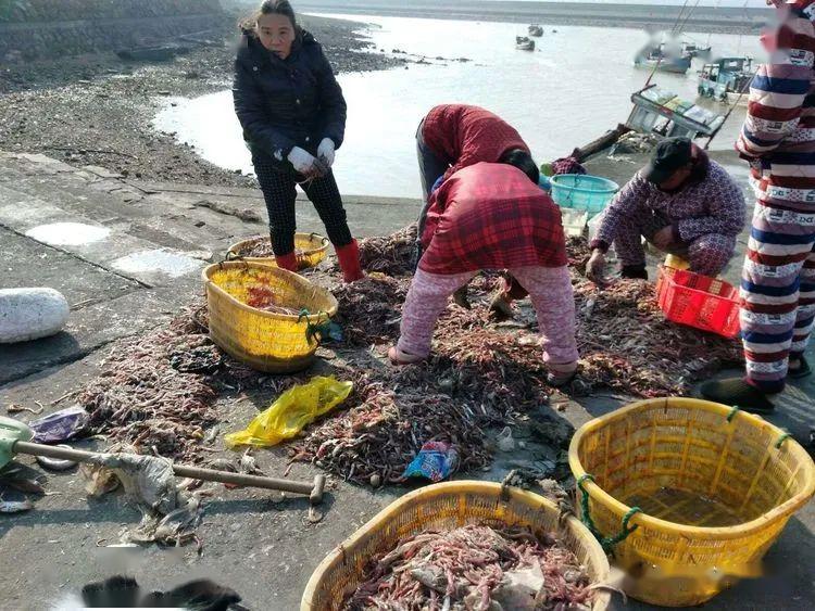 的海鲜,只能用一个字来概括,那就是"鲜",这一框框一箩箩的,螃蟹,鲜虾