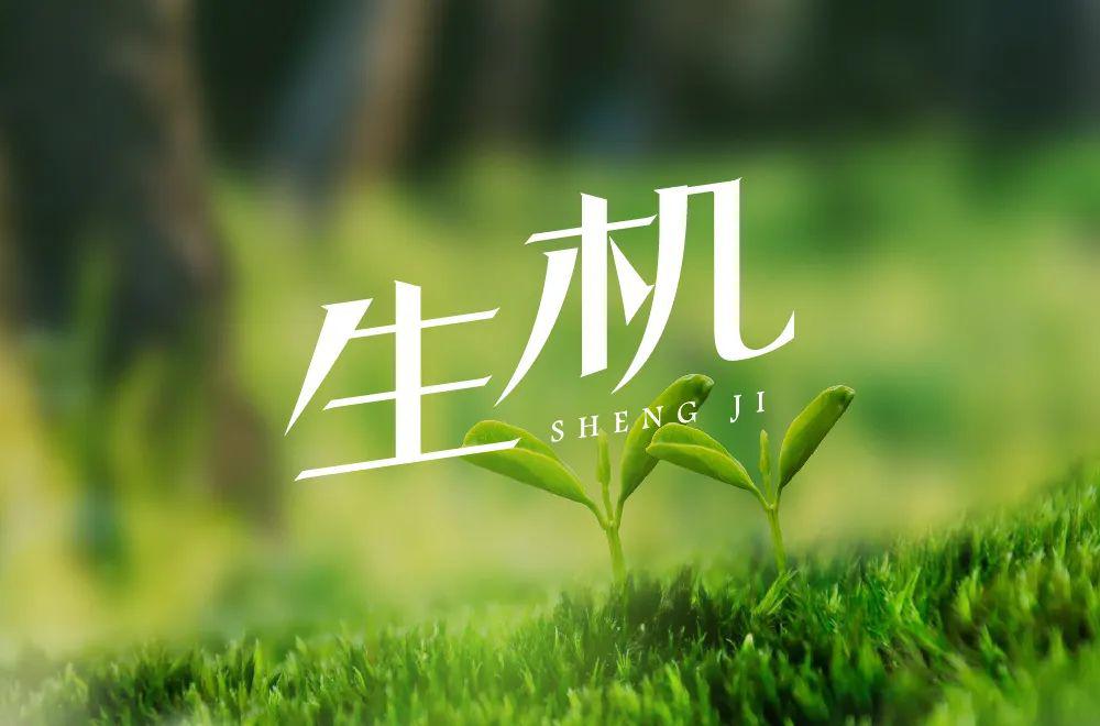 字体帮-第1503篇:生机