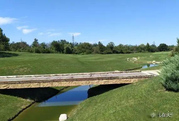 清明踏青好去处杨柳青森林公园每天释放的氧气量可达22吨