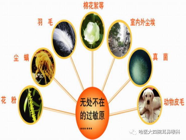 天气渐暖,你打喷嚏,流鼻涕了吗?_过敏原