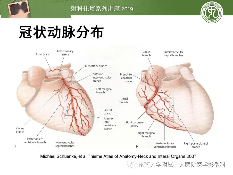 中大放射住培系列讲座冠状动脉cta诊断流程