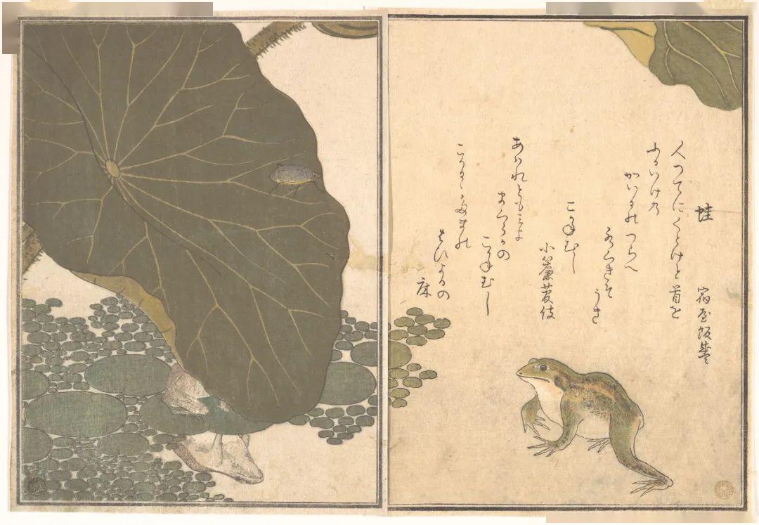 日本文学的色情与美好