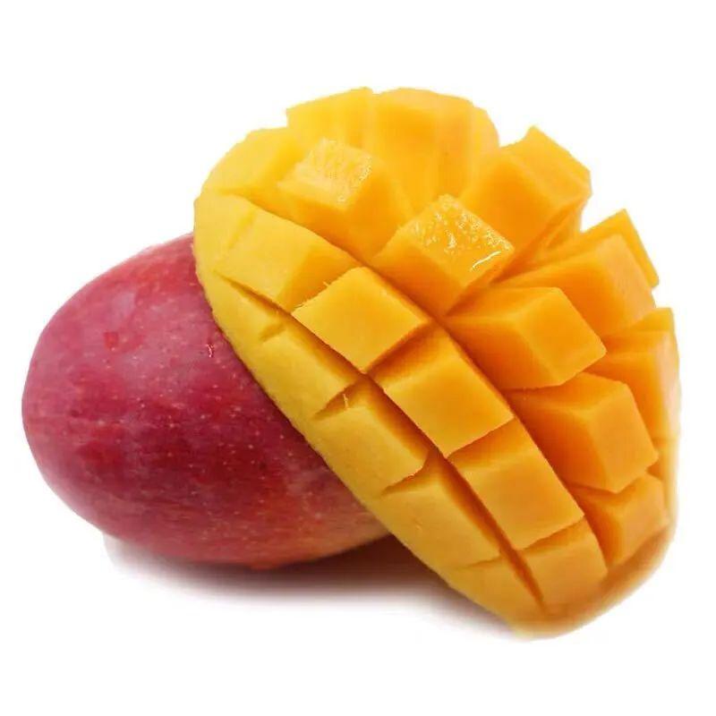 皮薄核小肉厚汁多的海南贵妃芒来啦