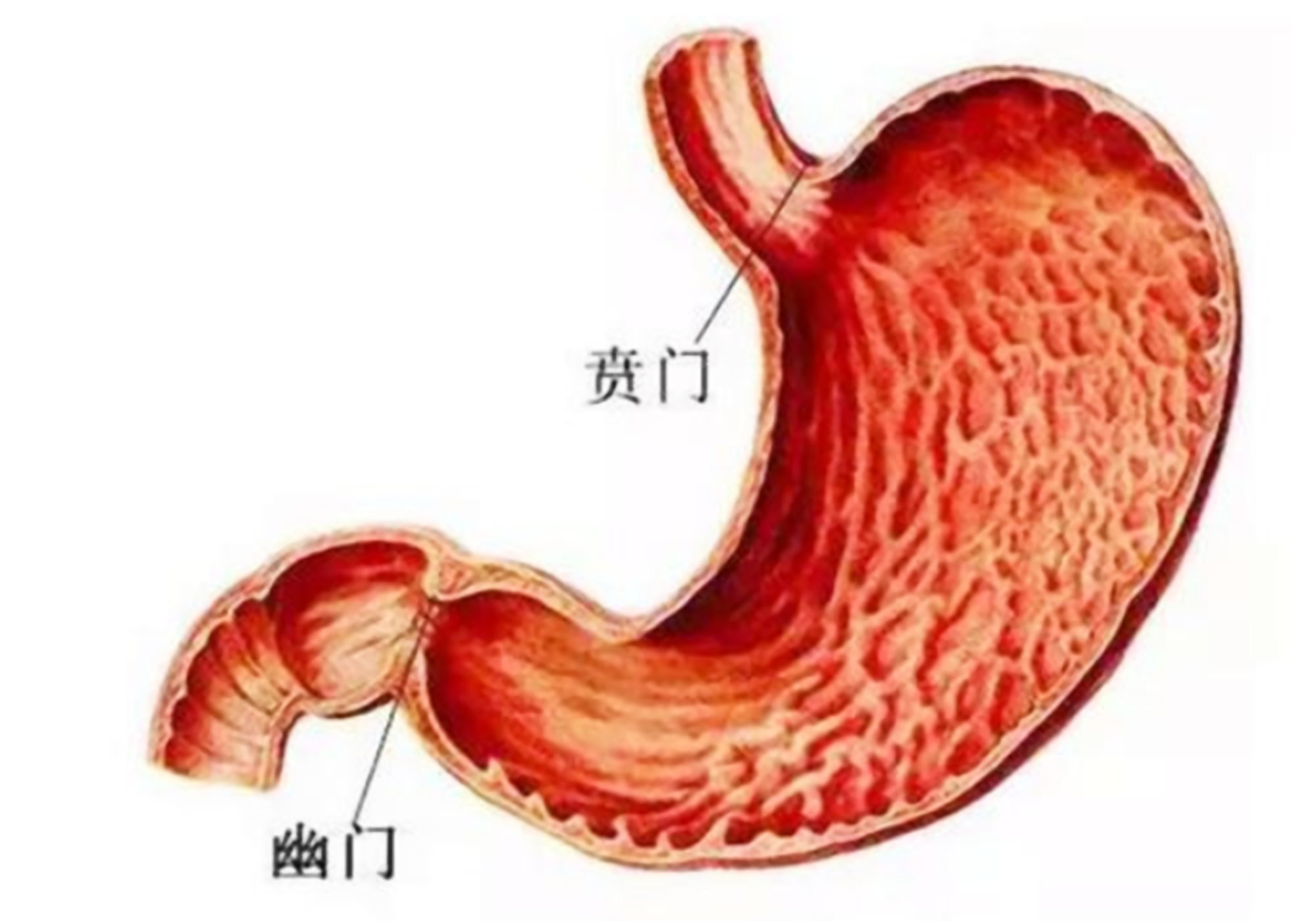 原创母乳妈妈要谨记四件小事是导致宝宝不适吐奶的元凶别忽视了