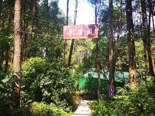 重庆自助烧烤云篆山庄10荤10素嗨吃不限量机麻ktv观赏孔雀园耍陀螺