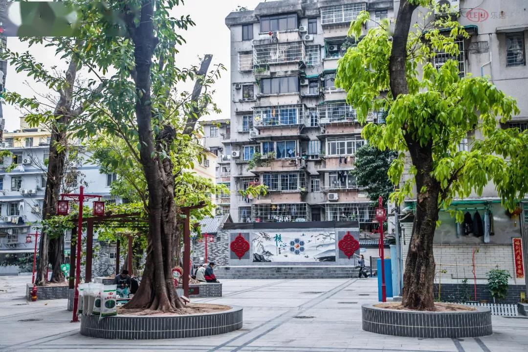 广州微改造②丨"绣花"功夫,让老旧小区更优雅