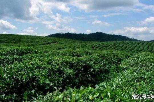 天长市金集镇草庙山自然风景优美文化底蕴深厚