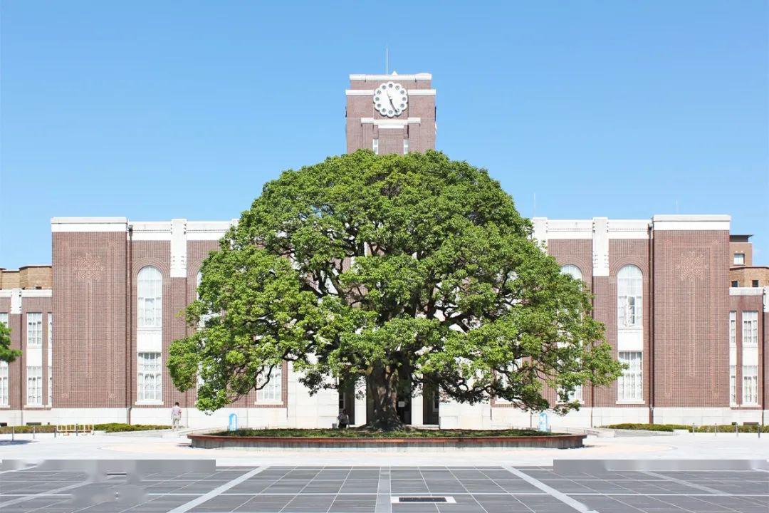 横滨市立大学图片图片
