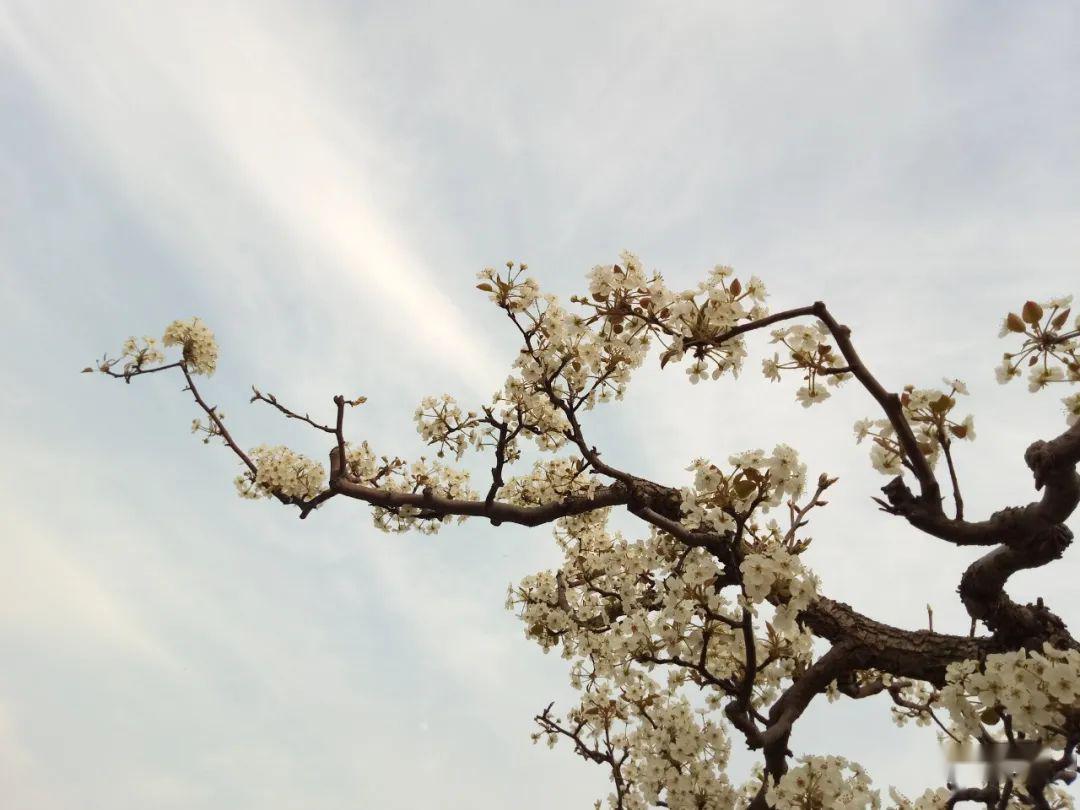 美景提前看雄关御道古淀梨湾掠影