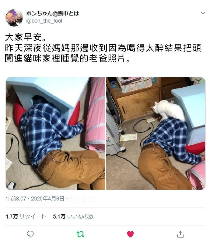 爸爸喝醉酒把頭伸進貓窩裡睡覺貓直接被嚇跑出來了哈哈