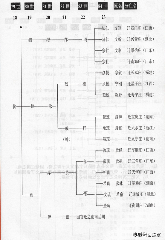 义门陈氏世系图图片