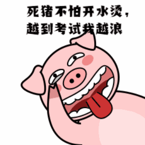 死猪不怕开水烫型平时忙工作,忙生活,本身学习时间偏少,加上没有基础