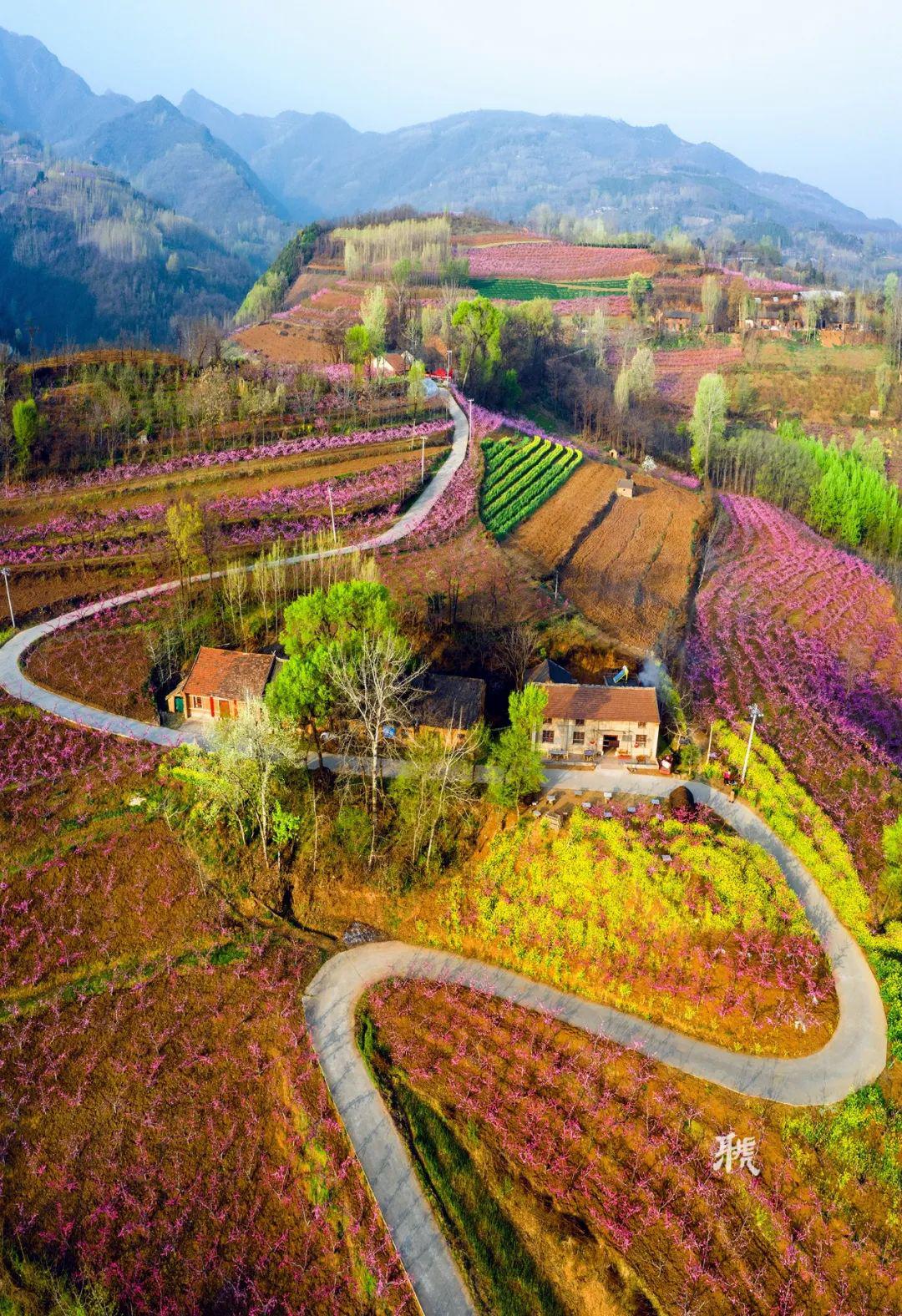 鄠邑超清全景图视频诗画鄠邑桃岭人家