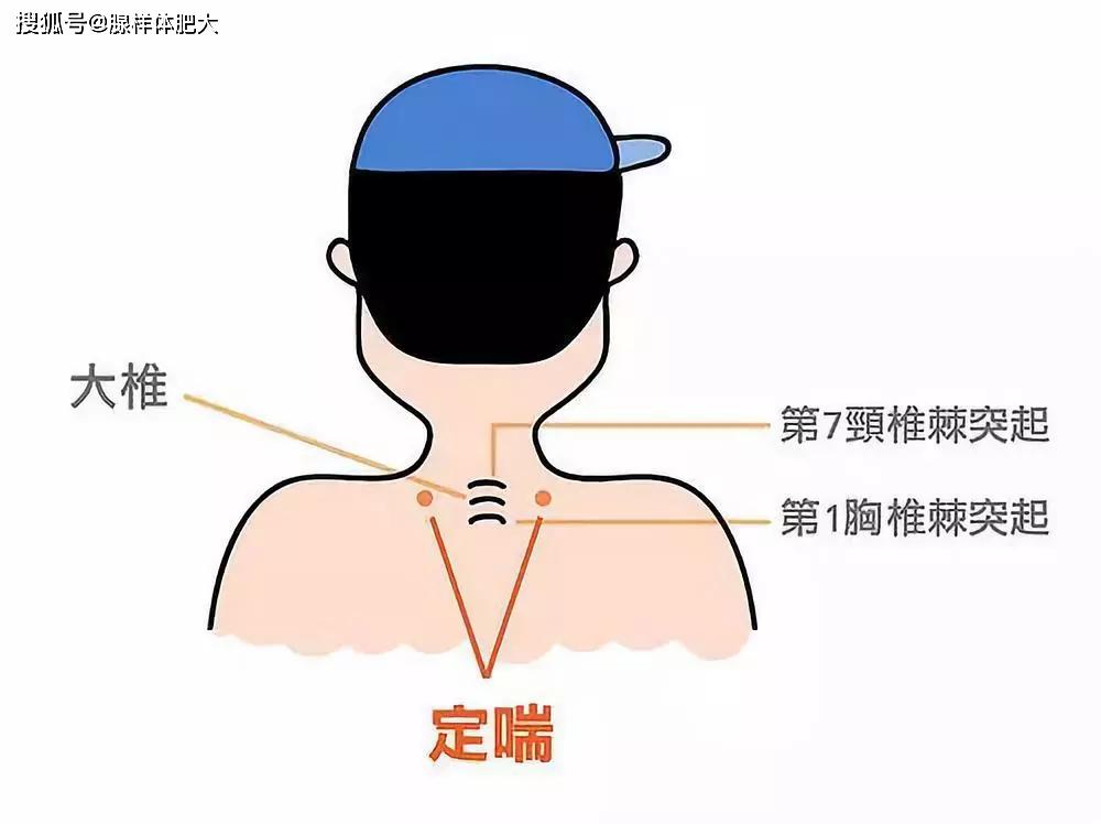 定喘的准确位置图图图片