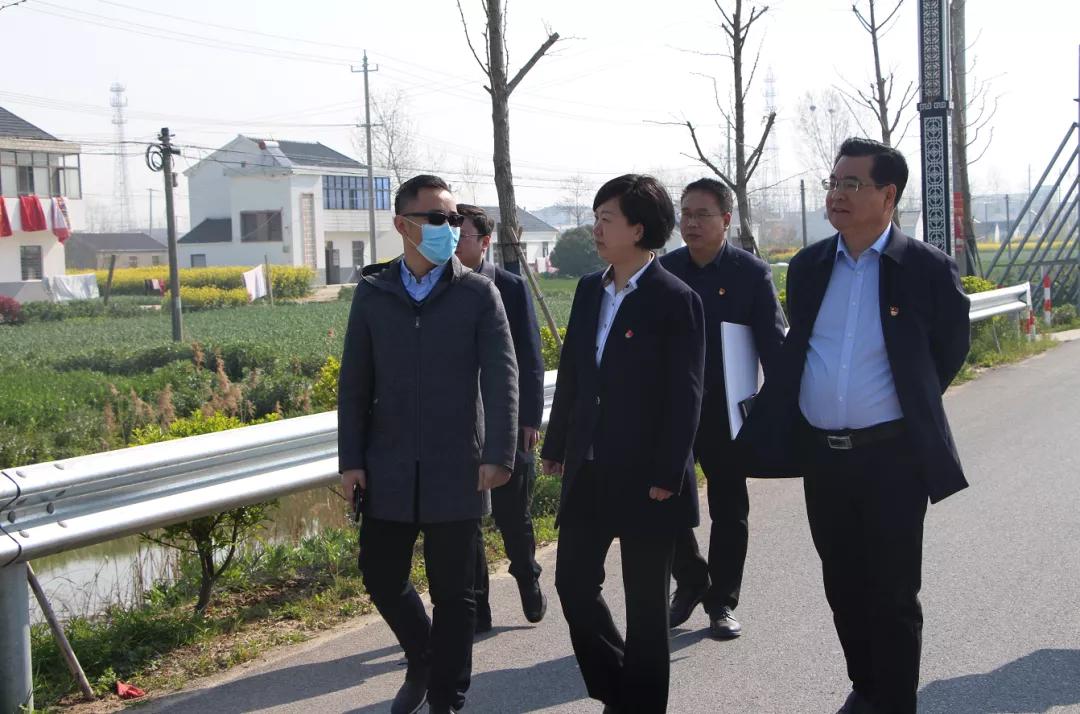 射阳县委副书记,县长吴冈玉调研阳河湾生态旅游区项目建设