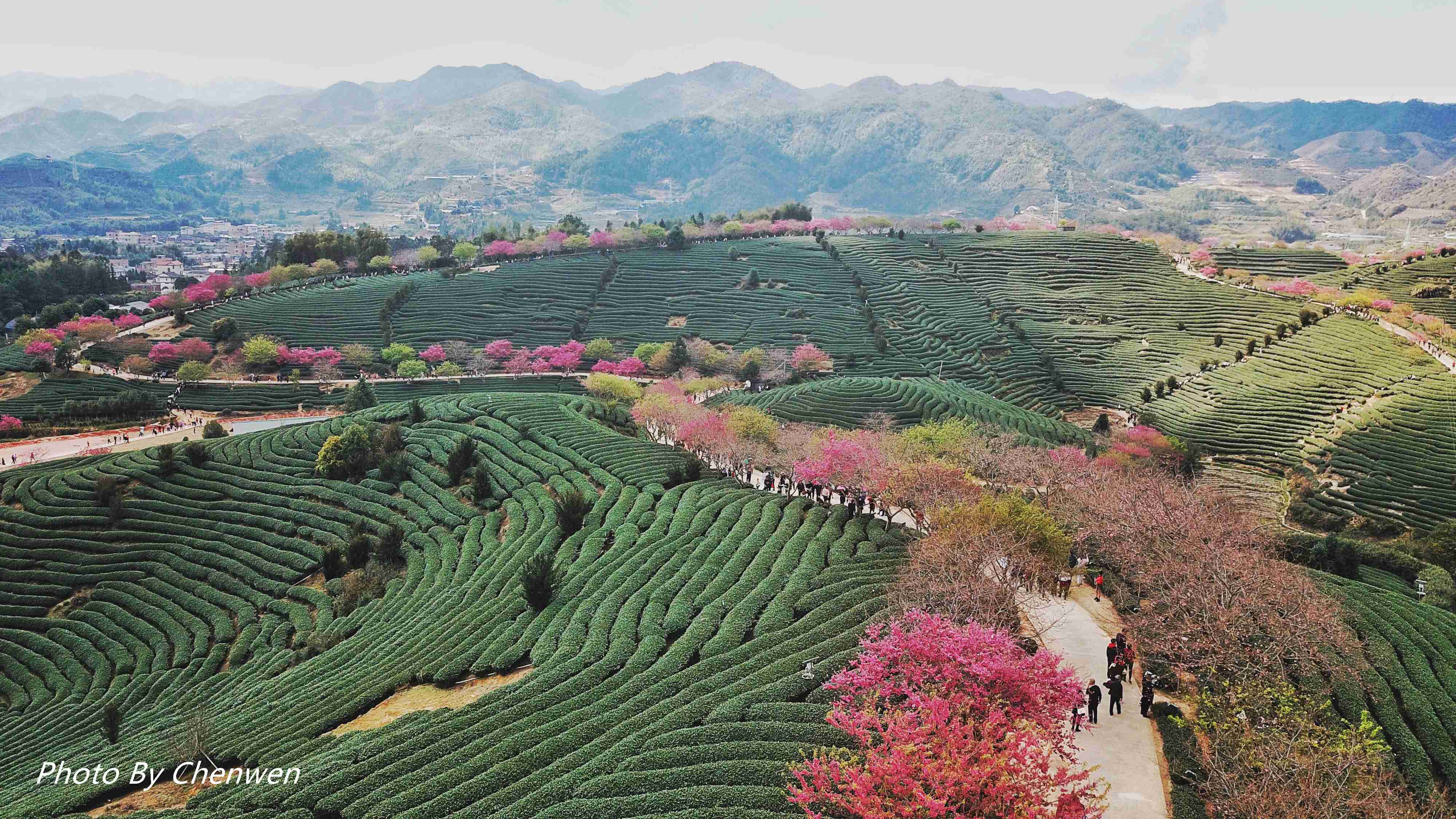 福建东京山图片