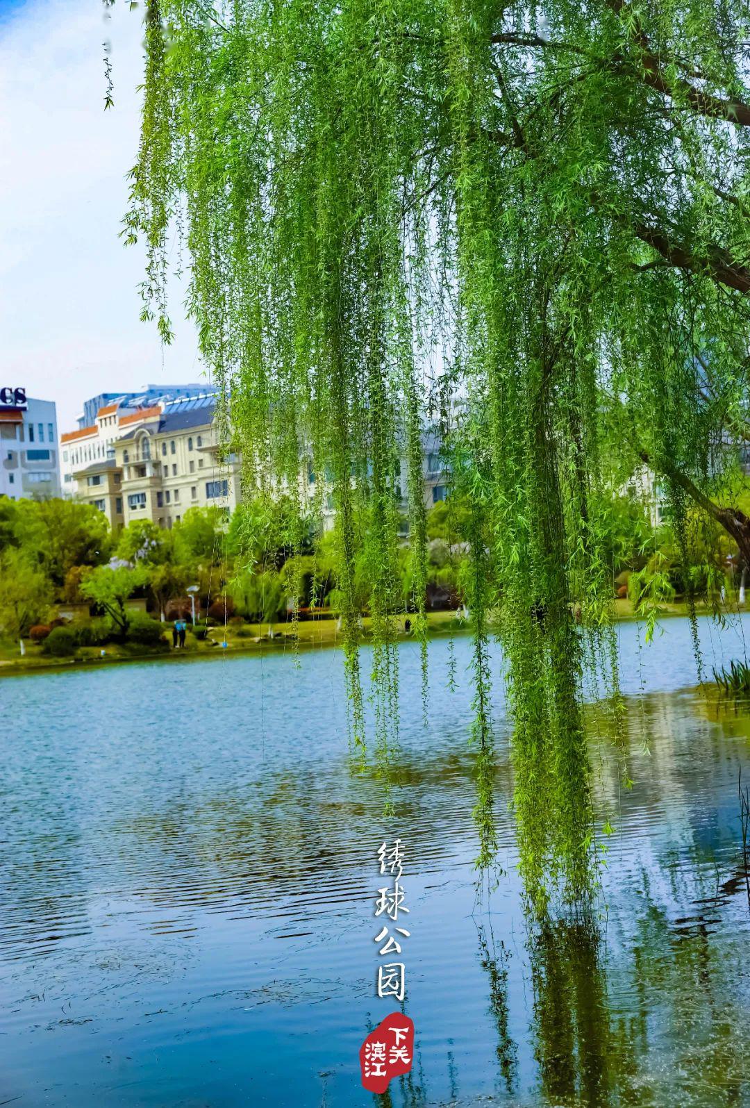 春风十里滨江等你正是春光肆意时春色醉人