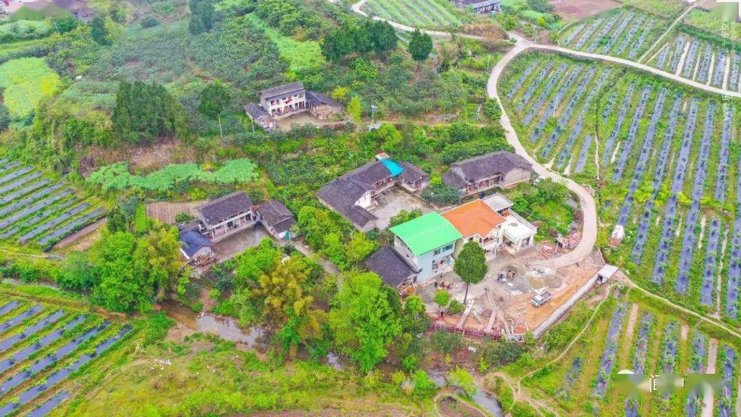 踏青好去处 最美桥亭村_飞凤镇