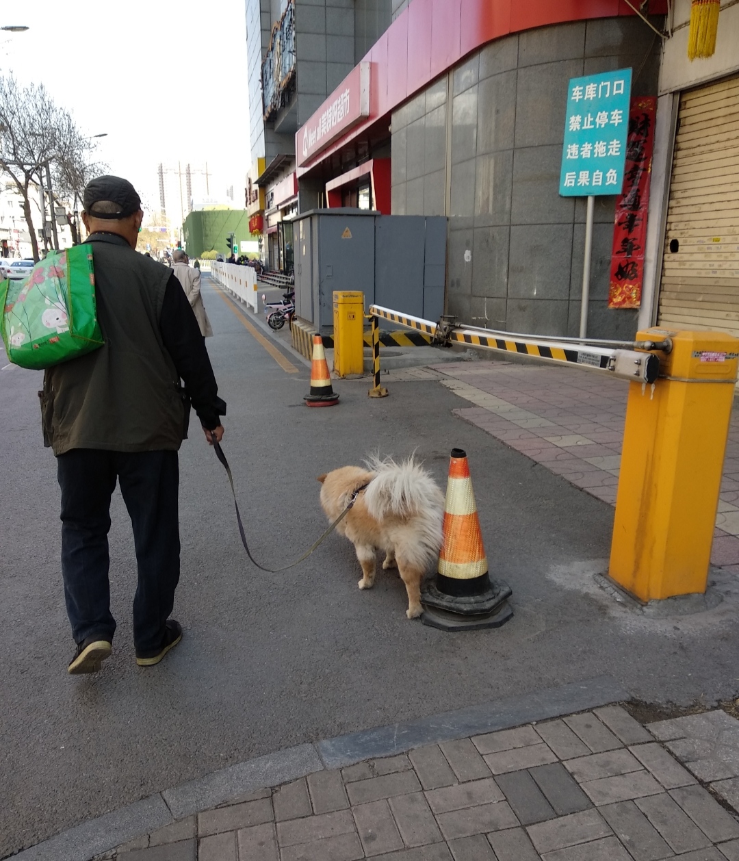 狗狗在太原随地小便,不会被罚款,你知道原因吗?