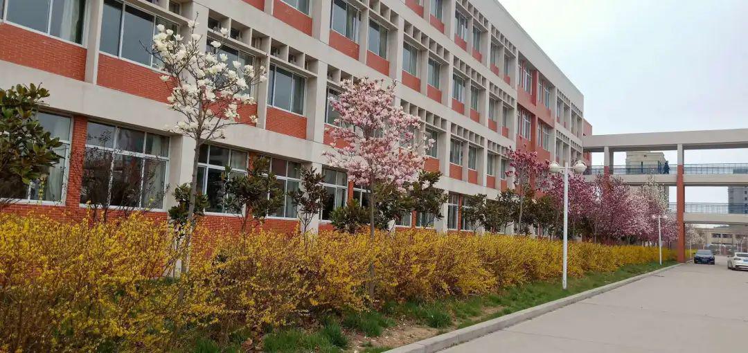 多图实拍平度九中里的春天