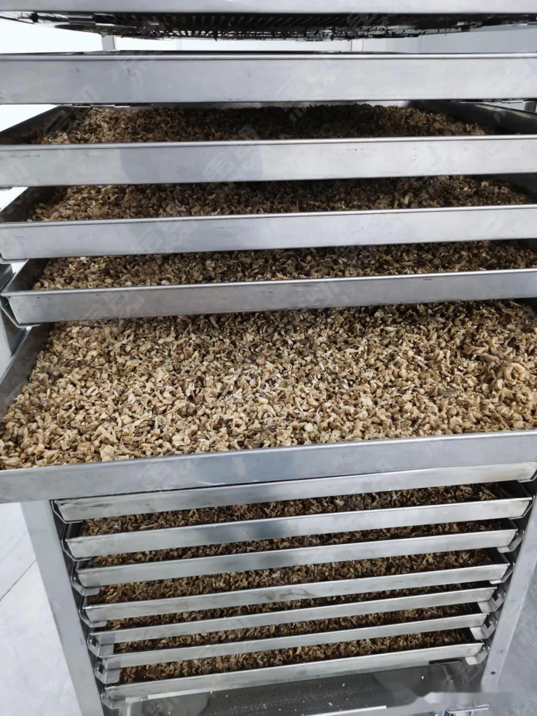 「广州凯能」祝贺浙江中药材热泵烘干项目顺利落成