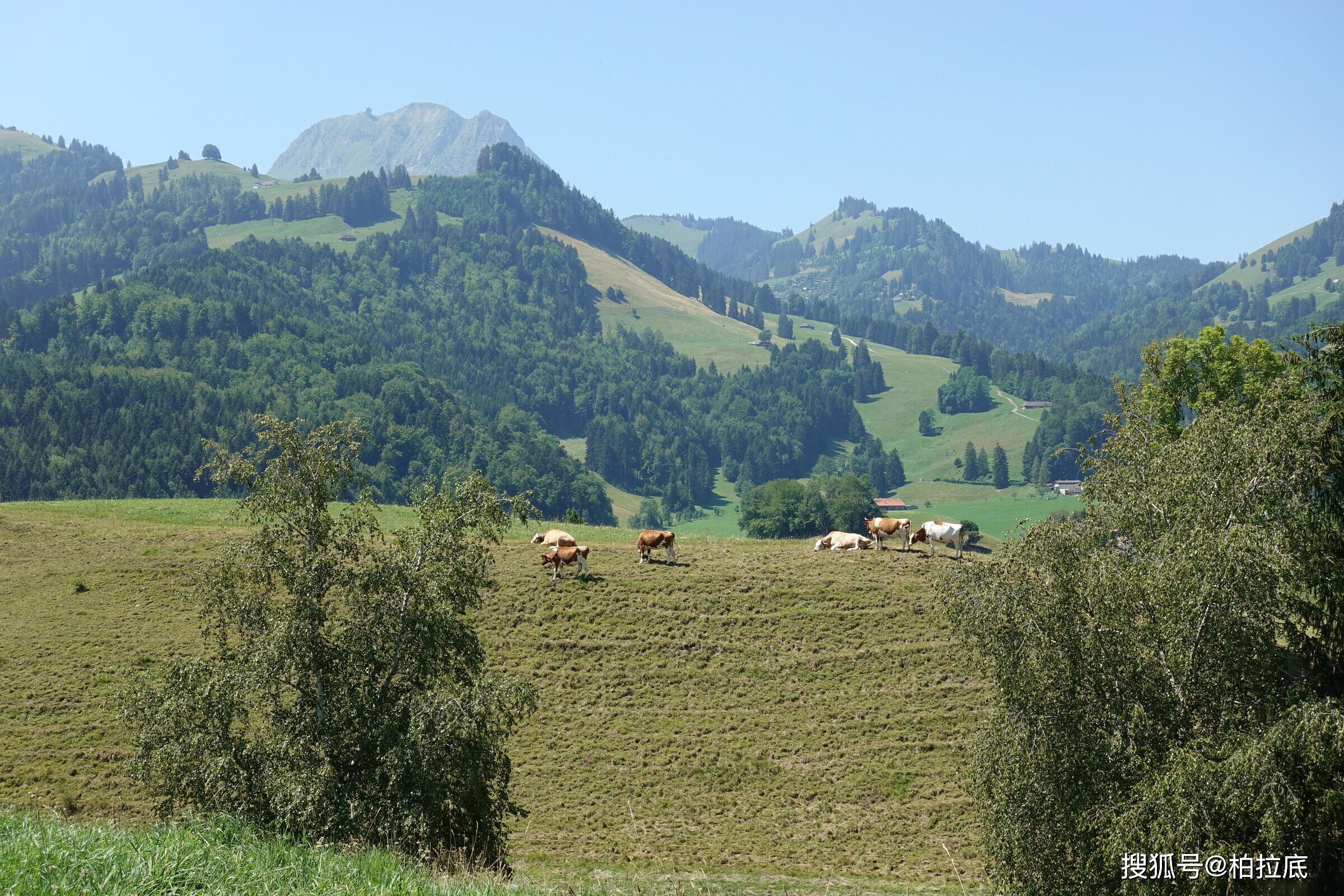 原创瑞士小镇格吕耶尔吃货的天堂古堡爱好者必游之地