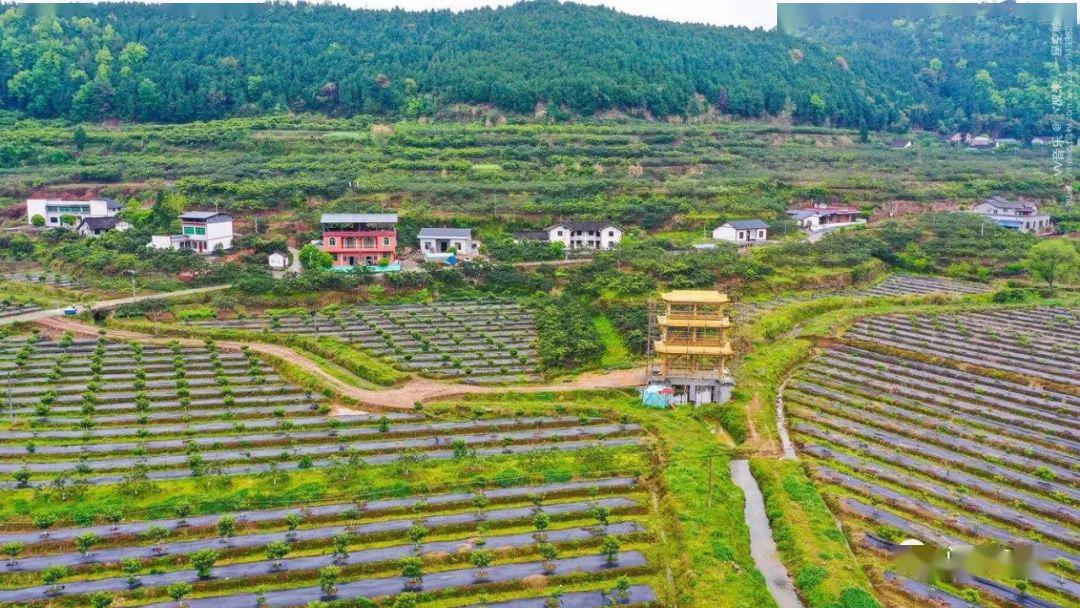 踏青好去处最美桥亭村