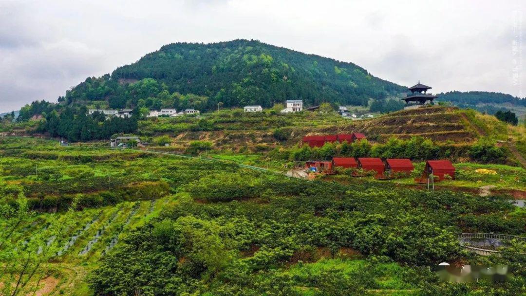 踏青好去处 最美桥亭村_飞凤镇