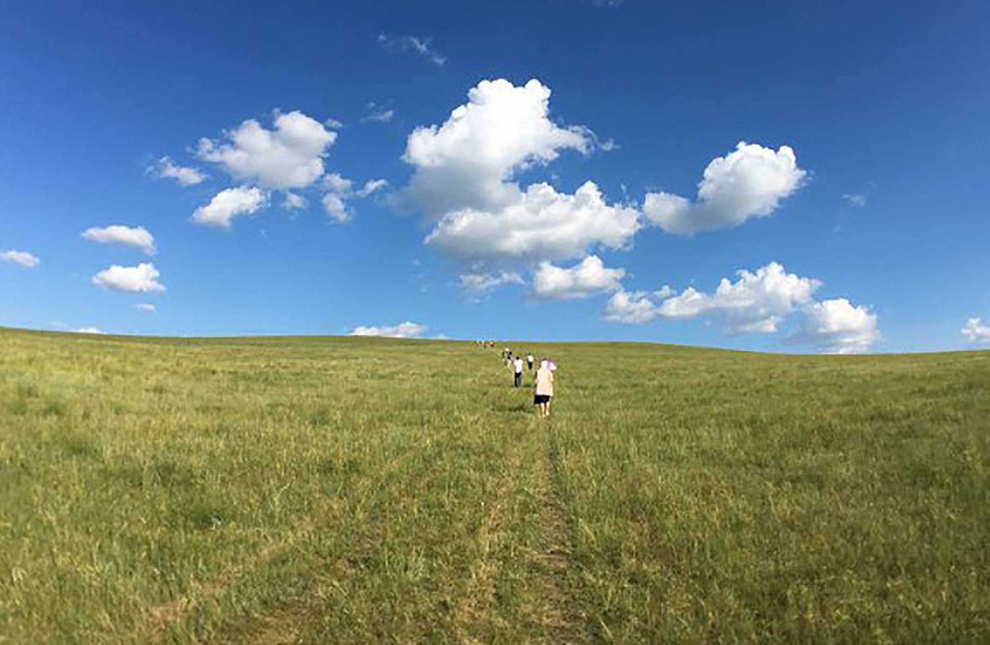 原创成吉思汗迎亲在这片草原