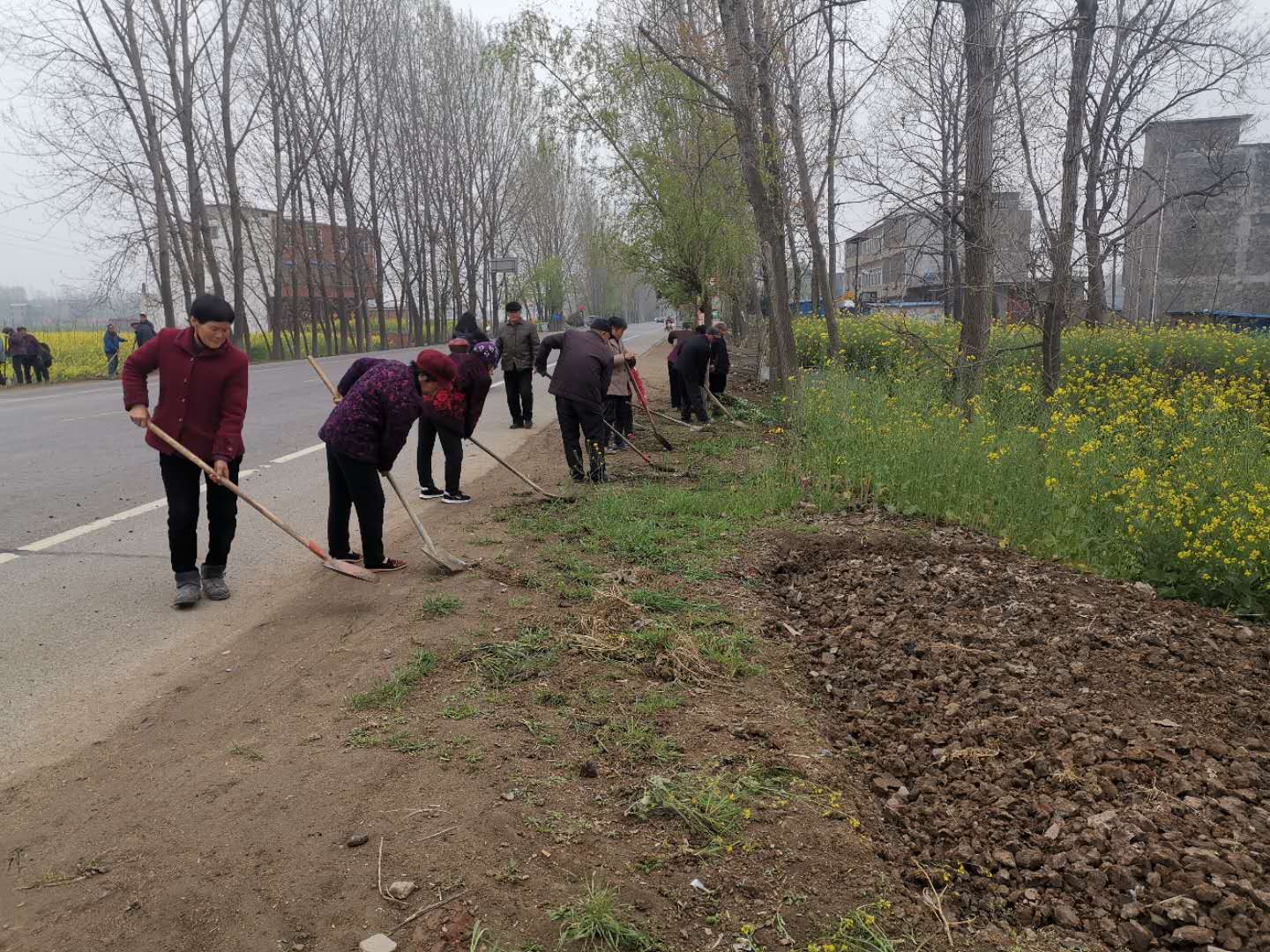 新蔡县龙口镇扎实做好人居环境整治工作