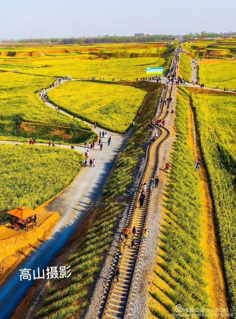 沙河俯瞰万亩油菜花