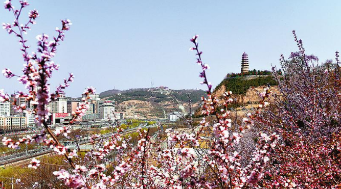 隨著疫情逐漸好轉,近日,記者走訪市區各旅遊景點時發現,前來參觀的