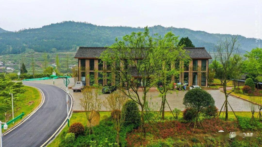 踏青好去处最美桥亭村