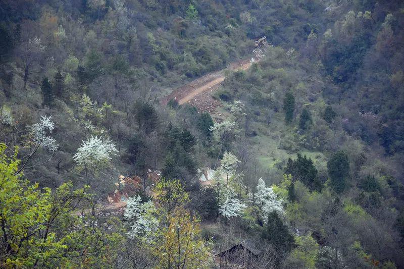 致富路三元镇柏坪村公路建设如火如荼群众感恩党和政府