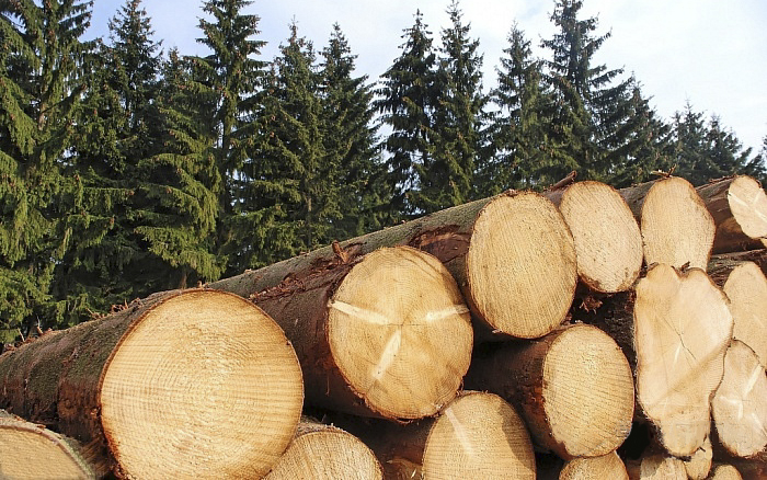 香誉天下红雪松木板瓦