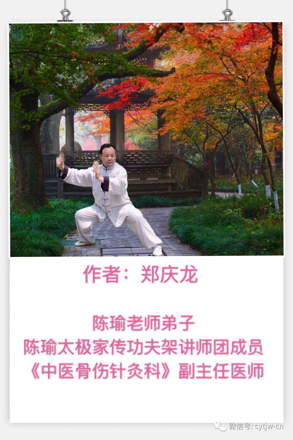 【陈瑜太极第701期】太极拳与中医经络骨骼力学关系